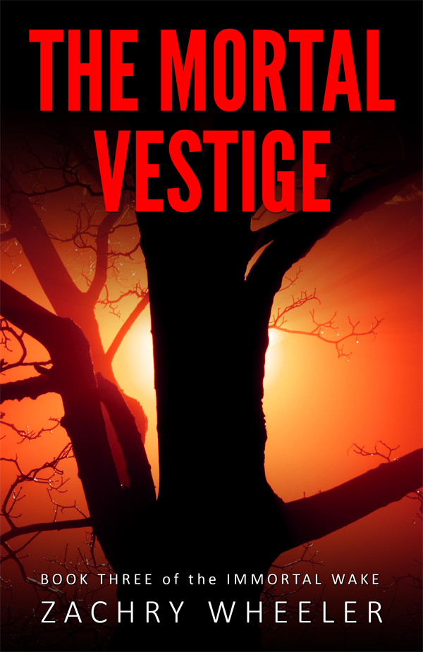 The Mortal Vestige (novel)