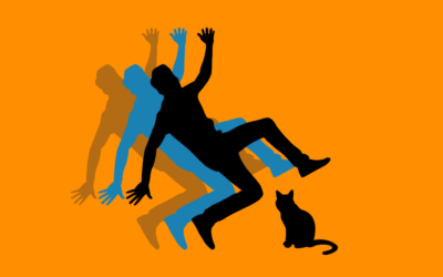 What is the Official Reading Order for Max and the Multiverse?