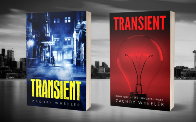 Transient 2.0: How a Fresh Edit Exposed a Hidden Writing Crutch