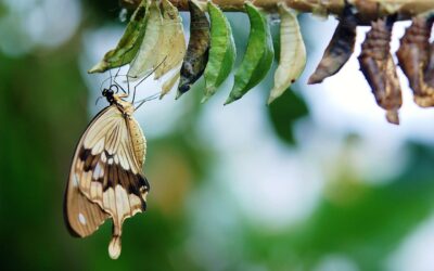 The Art of De-Branding: How to Reclaim a More Authentic Authorship