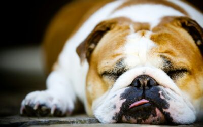 Why Do I Write? How a Simple Answer Became a Therapeutic Struggle